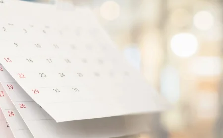 Calendario Avisos PLD 2026: Fechas y Facilidad RFC