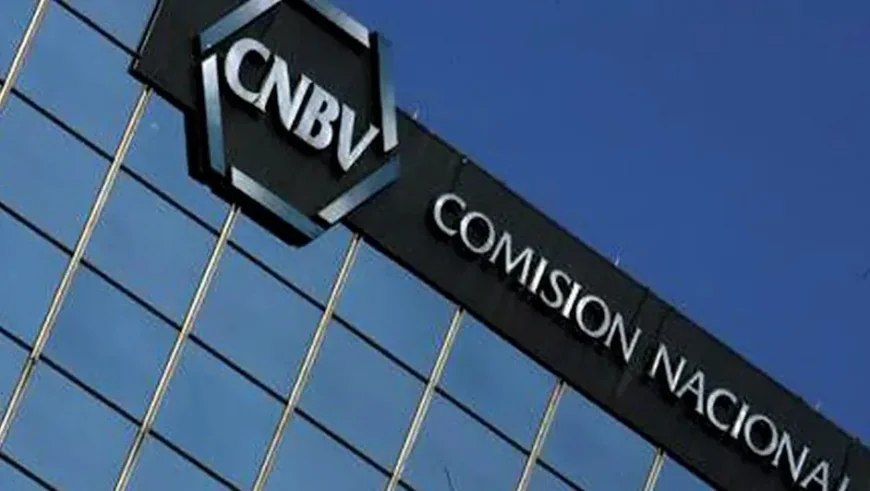 CNBV: Qué Es, Funciones y Entidades que Supervisa