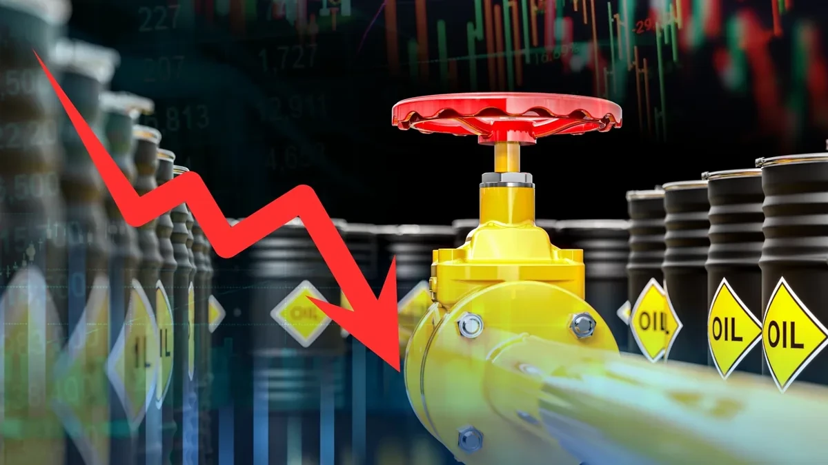 Guía UIF-CNBV Hidrocarburos: PLD para el Sector Financiero